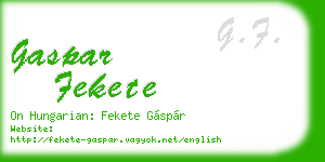 gaspar fekete business card